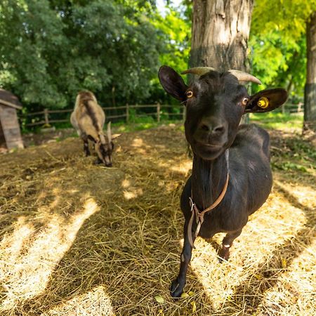 Agriturismo Colle Dei Pivi Понти Сул Минчо Екстериор снимка