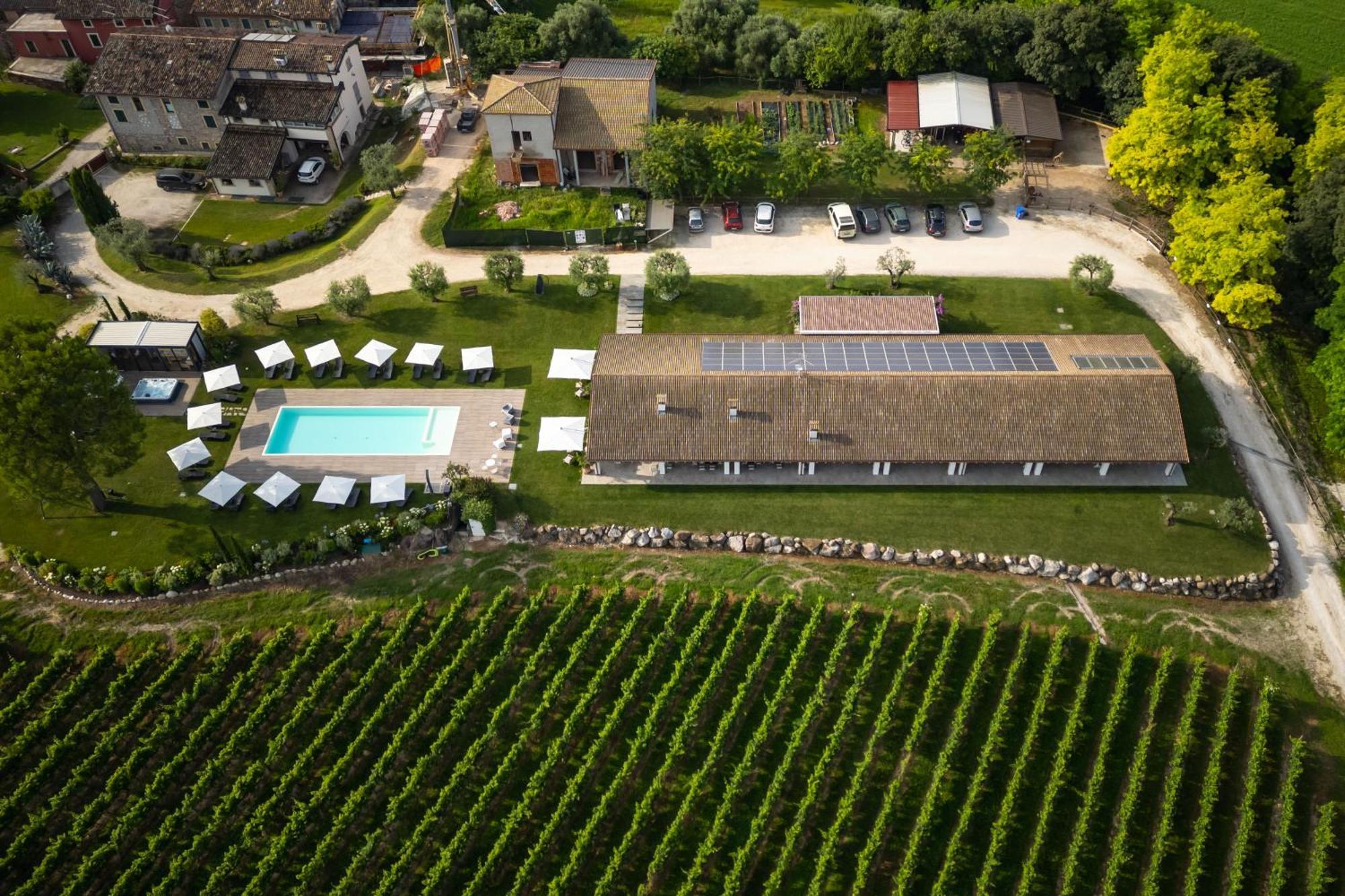 Agriturismo Colle Dei Pivi Понти Сул Минчо Екстериор снимка